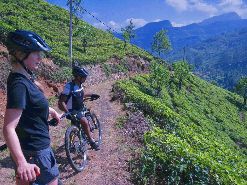 Tourists cycling in Sri Lanka through a breathtaking hillside landscape.