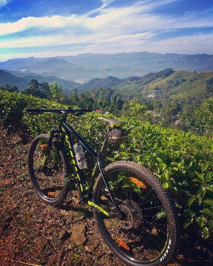 A bicycle parked near a lush tea plantation in Sri Lanka.