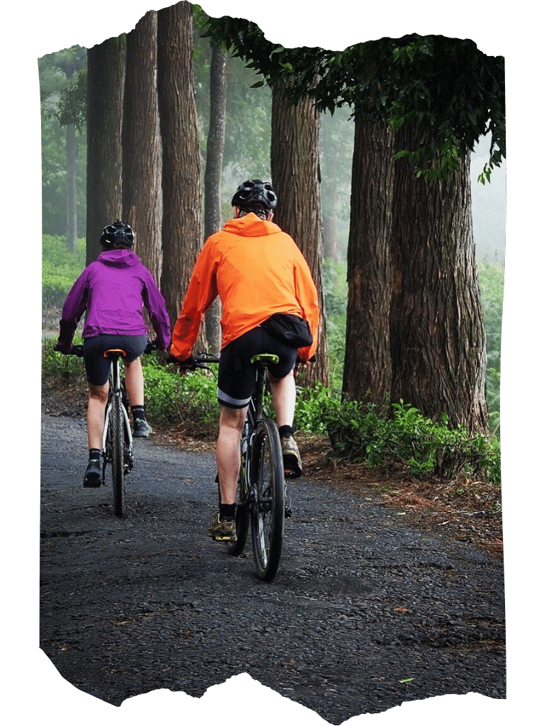 Two tourists on a guided cycling tour in Sri Lanka, riding through a lush forest.